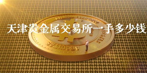 天津贵金属交易所最新消息深度解析